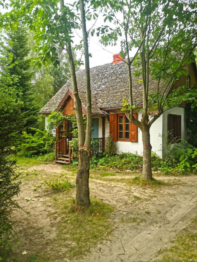 Az Pod Las Zbiczno Exterior photo